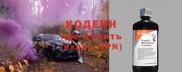 прущие крисы Абаза