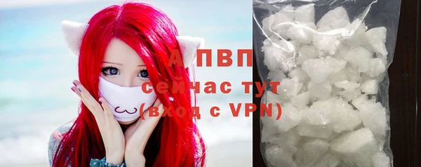 прущие крисы Абаза