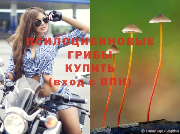 прущие крисы Абаза